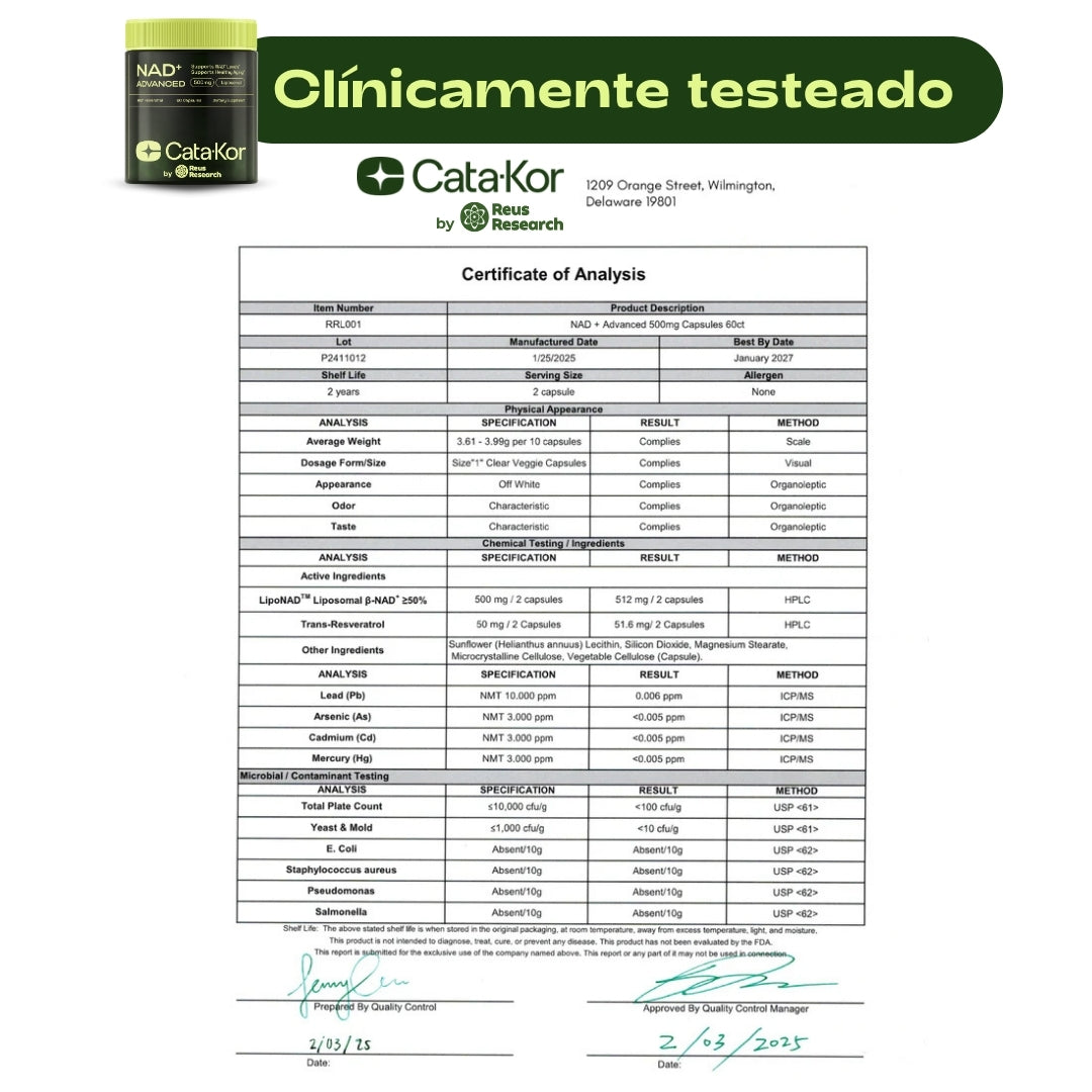 NAD+ ADVANCED | Restaura tu energía, rejuvenece tus células y potencia tu mente más rápido y mejor