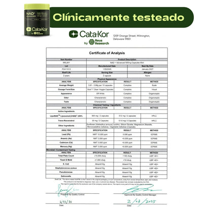 NAD+ ADVANCED | Restaura tu energía, rejuvenece tus células y potencia tu mente más rápido y mejor